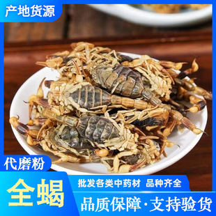 ȫϐ ��ș�����l ȫ�x�� ȫϐ�� �Ƀ��o�s ֧��ș�z �н�ӆ��