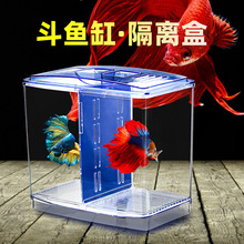 斗鱼盒小型斗鱼缸迷你克力隔离双盒斗鱼盒桌面观赏鱼饲养繁殖孵化