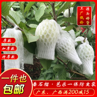 Mesh Bag Guava Bagging Guava Insect-proof Bag Fruit Bag Set Fruit Protective Bag Thickened One-piece Insect-proof Bag