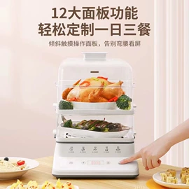 煮蛋器;酸奶机;家用电蒸笼