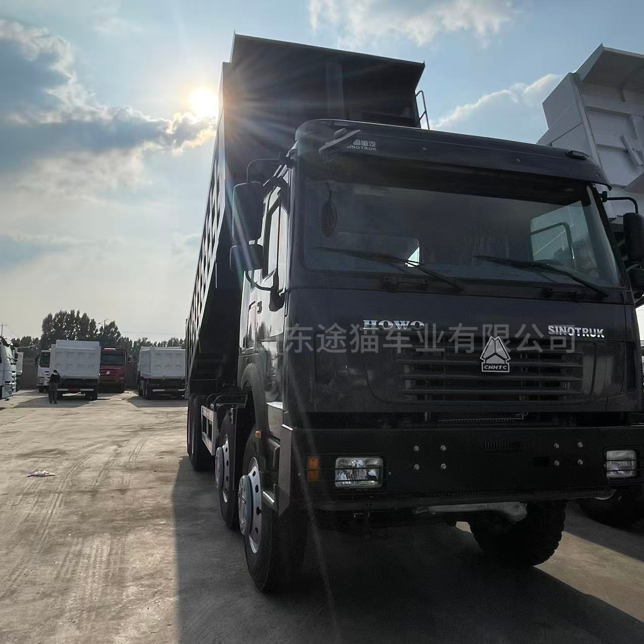 Sinotruk Howo Front-Four-Wheel-Drive and Rear-Eight-Wheel-Drive Dump Truck, 90% New, 8×4 Dump Truck, 371/375 Horsepower Engineering Dump Truck