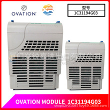 1C31194G03 �F؛ PLC-DCS Module