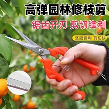 ���P����ш@ˇ��֦�������ٽ���ϡ���߹���@�ֲ�ժժ����������