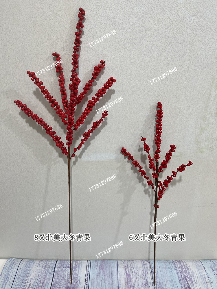 北美大冬青果 色卡