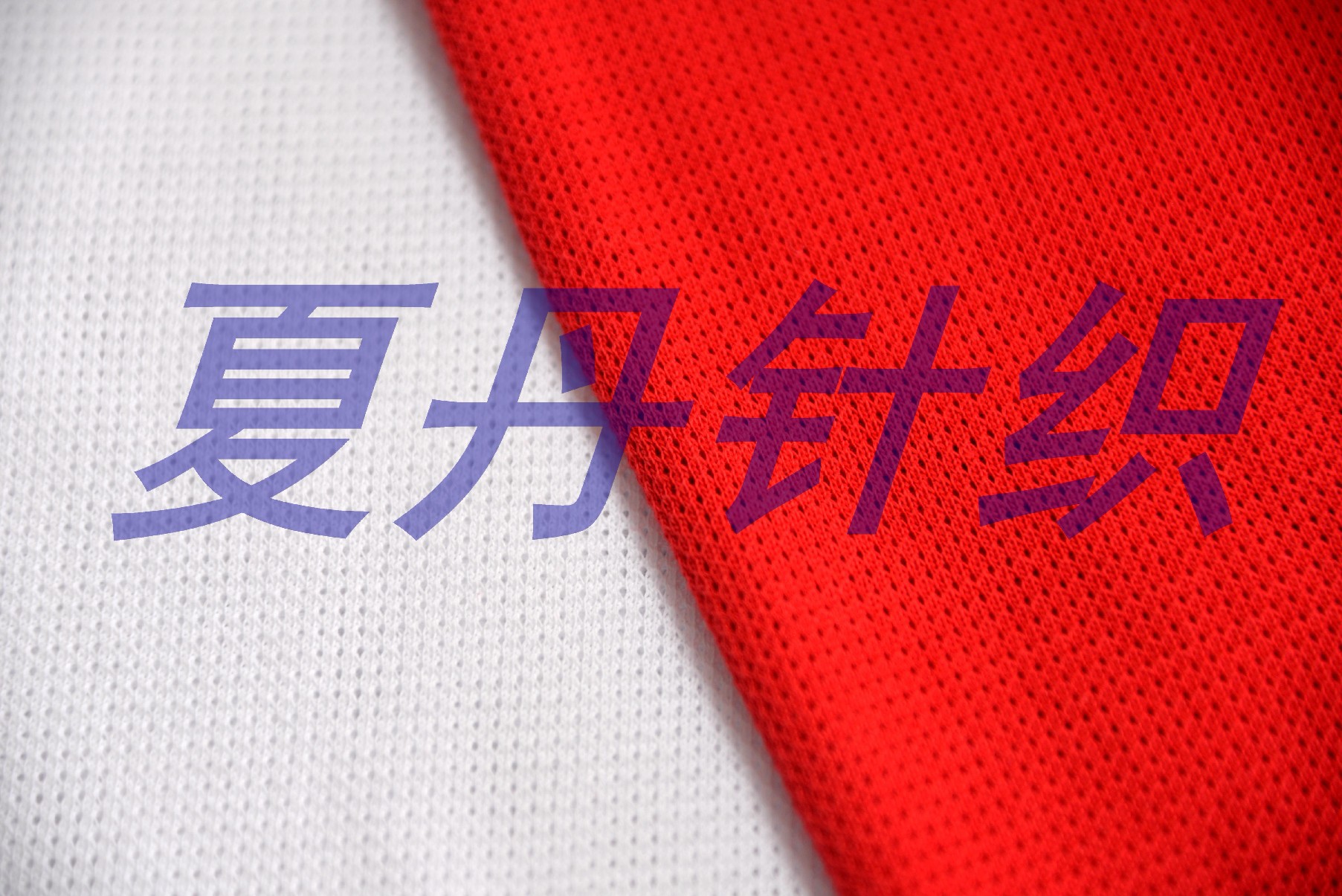 �л���˫ɴ�����������Ứ����205GSM,190CM,(XDJ-GH2211151) (2)