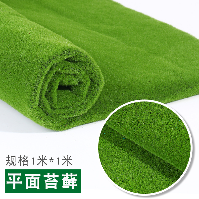 Plane Moss 1*1M