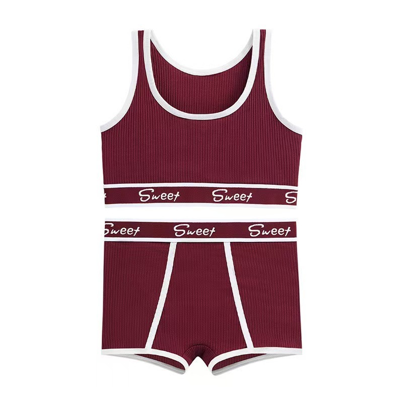 Traje deportivo de fitness europeo y americano transfronterizo Pantalones cortos para correr Ropa interior deportiva para mujer Pantalones bóxer Comercio exterior Traje de sujetador de talla grande