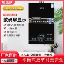 福莱顺平衡式家用燃气热水器 液化气强排式快速供热水恒温热水器