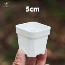 5CM口径加厚多肉小方盆简约白色矮方植物塑料透气浸盆托盘架控养