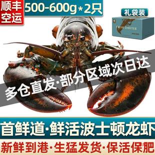 �������ʿ�D���r�r������r�����W�����ô���޺��rС�������l