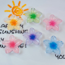 ͸⻨lAlKz֙CNbdiy֬