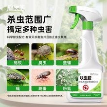 �N�t��߻�x�����x�����șΛρ������x������x�҃Ț����x���l�r