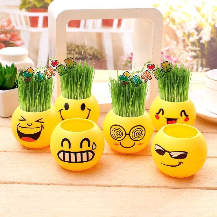 Creative office potted long grass head doll cool expression DIY glass bottle negative ion mini planting gift