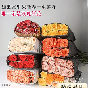 2025�¿�õ�廨�r�����ؼ����r�в廨���L�����滨���܌��Ｐ�@ˇ