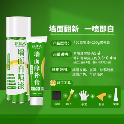 Sheet Metal Spray Repair Paint Indoor Household Paint Coating - self-painting-450-repair-paste-250g-wall-repair-package