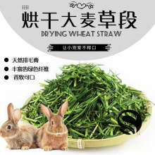 新鲜头茬大麦草干草兔子龙猫豚鼠牧草饲料仓鼠侏儒兔荷兰猪小分装