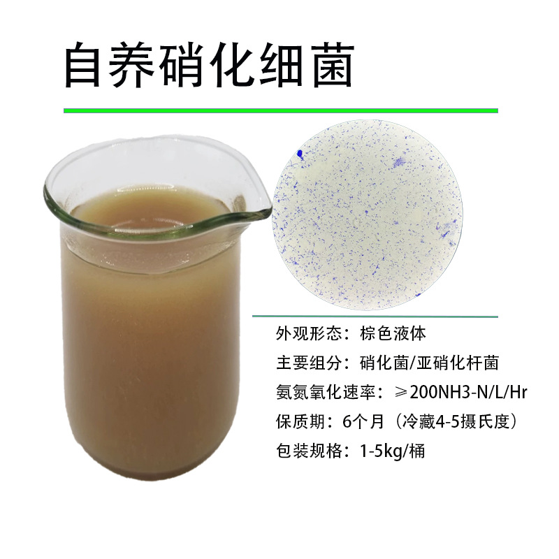 硝化细菌活菌鱼缸水族水产降氨氮亚盐污水处理氨氮去除菌剂消化菌