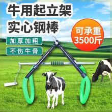 ֧�μܴ�ţ����ţ�������O��Ӻ�վ��ţ�Bţĸţ������ţ���o����