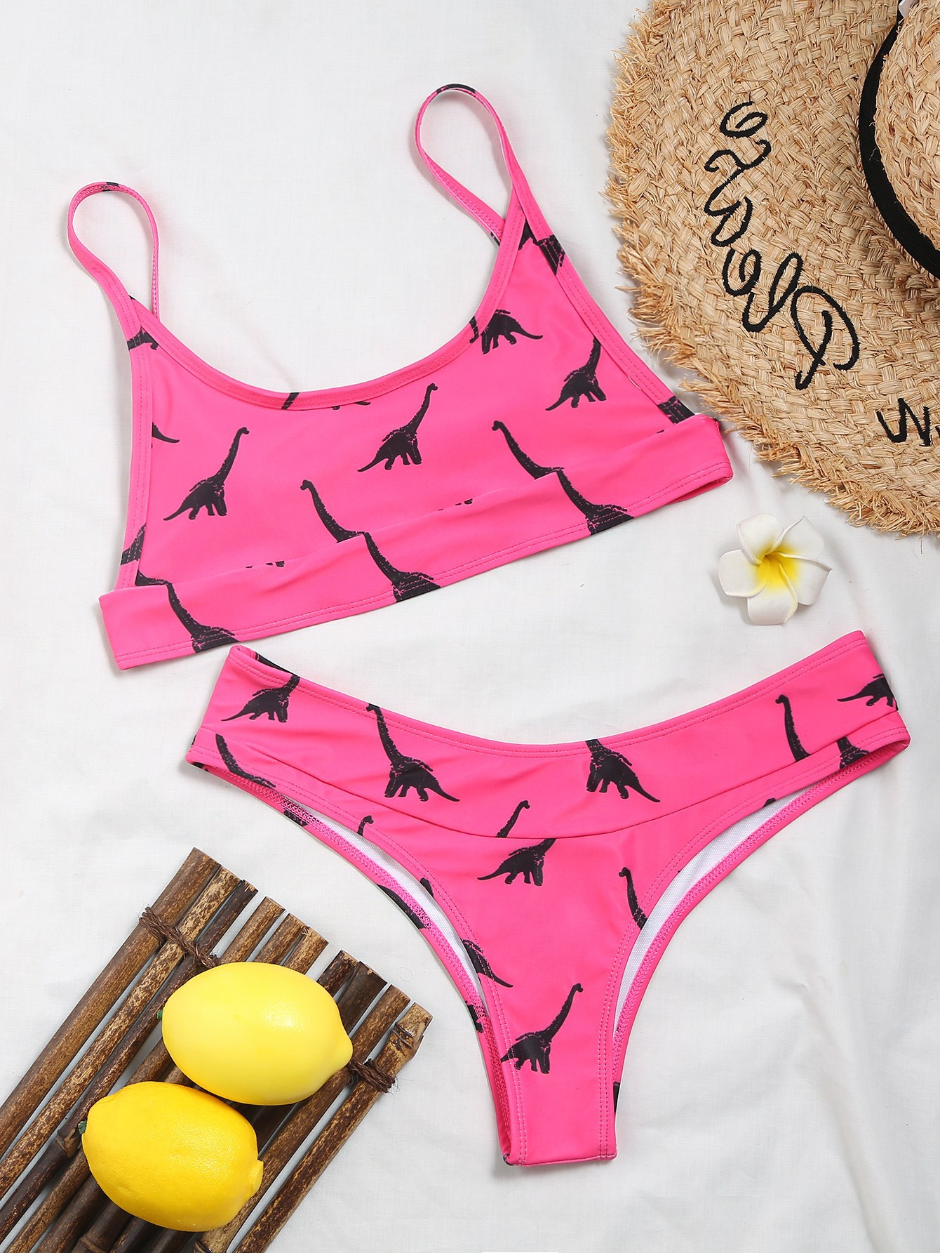 Dinosaur Print U-Neck Bikini NSFPP104723