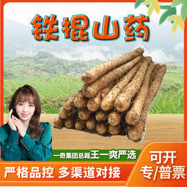 河北小白嘴山药 代发5斤新鲜香糯铁杆山芋土薯芋头蔬菜