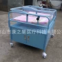 广东之星双胞胎塑钢婴儿车