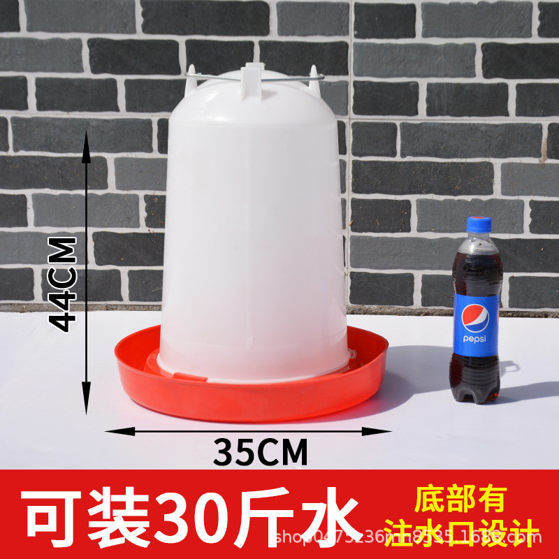 agua potable de pollo, cubo de agua de pollo, alimentador automático de agua de pollo, alimentador de agua de pollo, bebedor de agua de pollo, cría de pollo