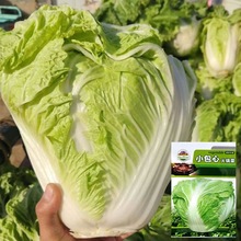 óС^ײ˷Nӻ偲ײļN~o߲˷N