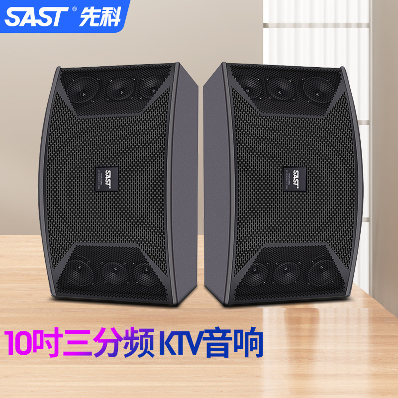 SAST A80V family KTV audio suit 10-inch karaoke player wireless microphone singing high power