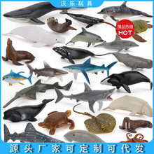 �羳���溣����ﺣ�����{�������k��ͯ�����L������ģ�͔[��