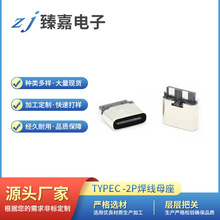 TyPEһC   ĸ�����2P����ʽ��Ƭ��¶�~���P�ӌ���늰�