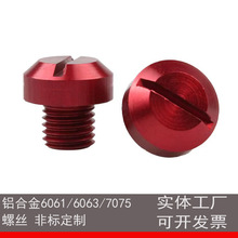 6061/6063/7075Ħ��܇��ҕ�R�X�ݽzM8M10��������˨һ�ֺϽ����