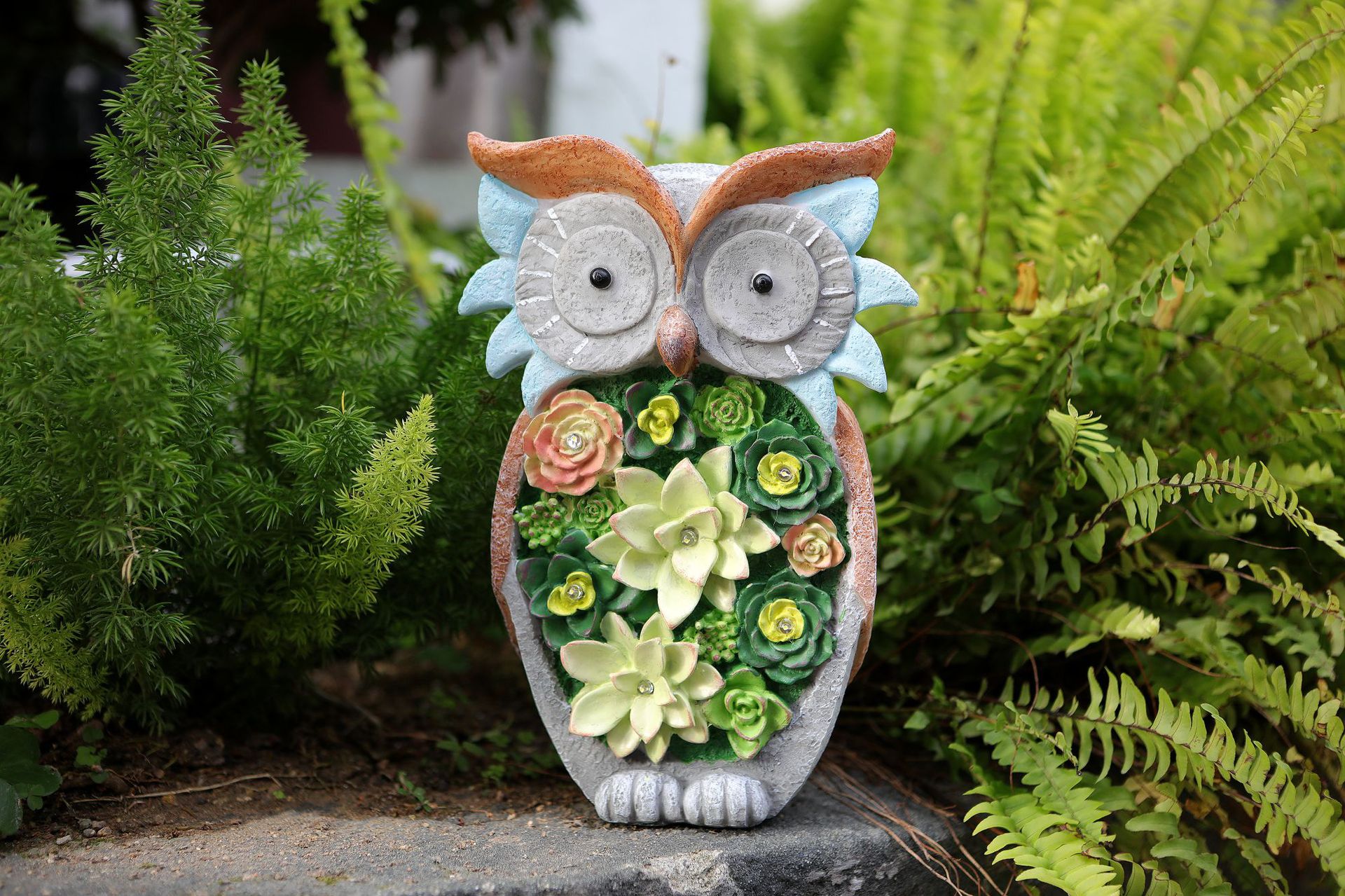 猫头鹰详情图 (8).jpg