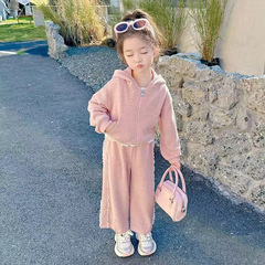 女小童春秋装套装2025新款女宝宝时髦运动秋款小女孩兔耳朵两件套