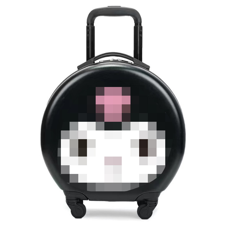 투 입 데비 루치