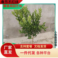 ɰ�����Ә���޽ӽ��������Ե��Ը��ٟo�����٘��箔��Y��������