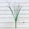 Factory direct selling single pier Reed grass wedding wedding decoration, home flower pot decorative simulation green plants