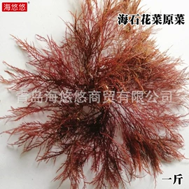 海藻类;植物提取物;分析试剂