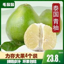 泰国青柚进口新鲜水果柚子纯甜多汁金柚白蜜柚多规格包邮坏果包赔