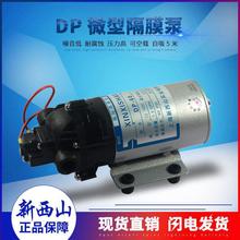 上海新西山微型高压隔膜泵自吸水泵DP-60直流泵12V24v喷雾高压泵