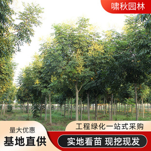 �������l����繤�̾G����ľ�е���ͥԺ�L����������Sɽ���