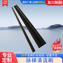 厂家直销供应扶梯门窗除尘毛刷长条形工业电解板钢丝清洁
