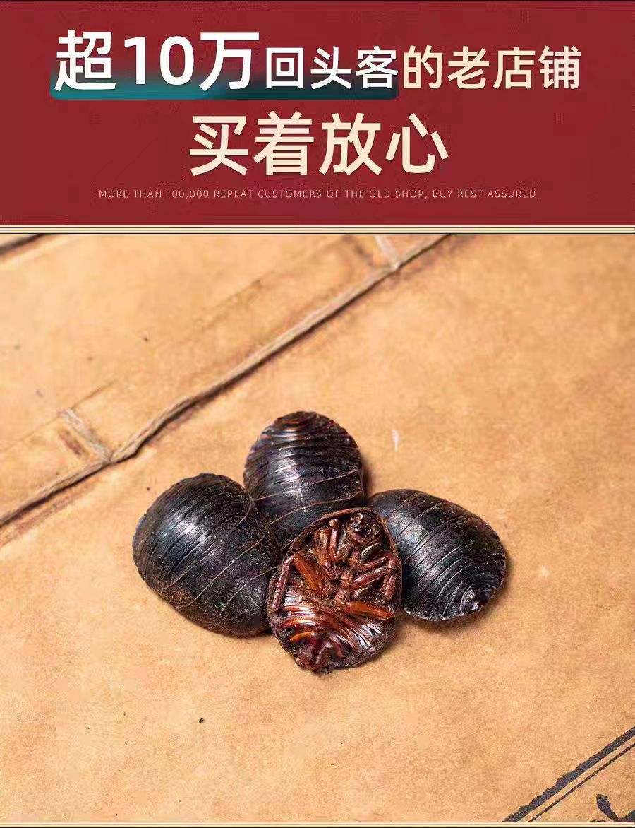 Tu Yuan (Eupolyphaga sinensis) — Dried Ground Beetle Herb, 500g Food-Grade quality and texture