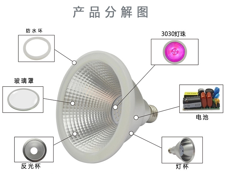 PAR38-15W无螺纹面分解图