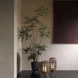 仿真绿植室内孔雀木仿生植物景观假树高端侘寂落地盆栽装饰摆批发