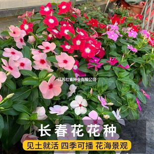 ���L�����N�ӡ����մ��ļ����N �׻�ͥԺ���Ի��� ���÷�N���\�}