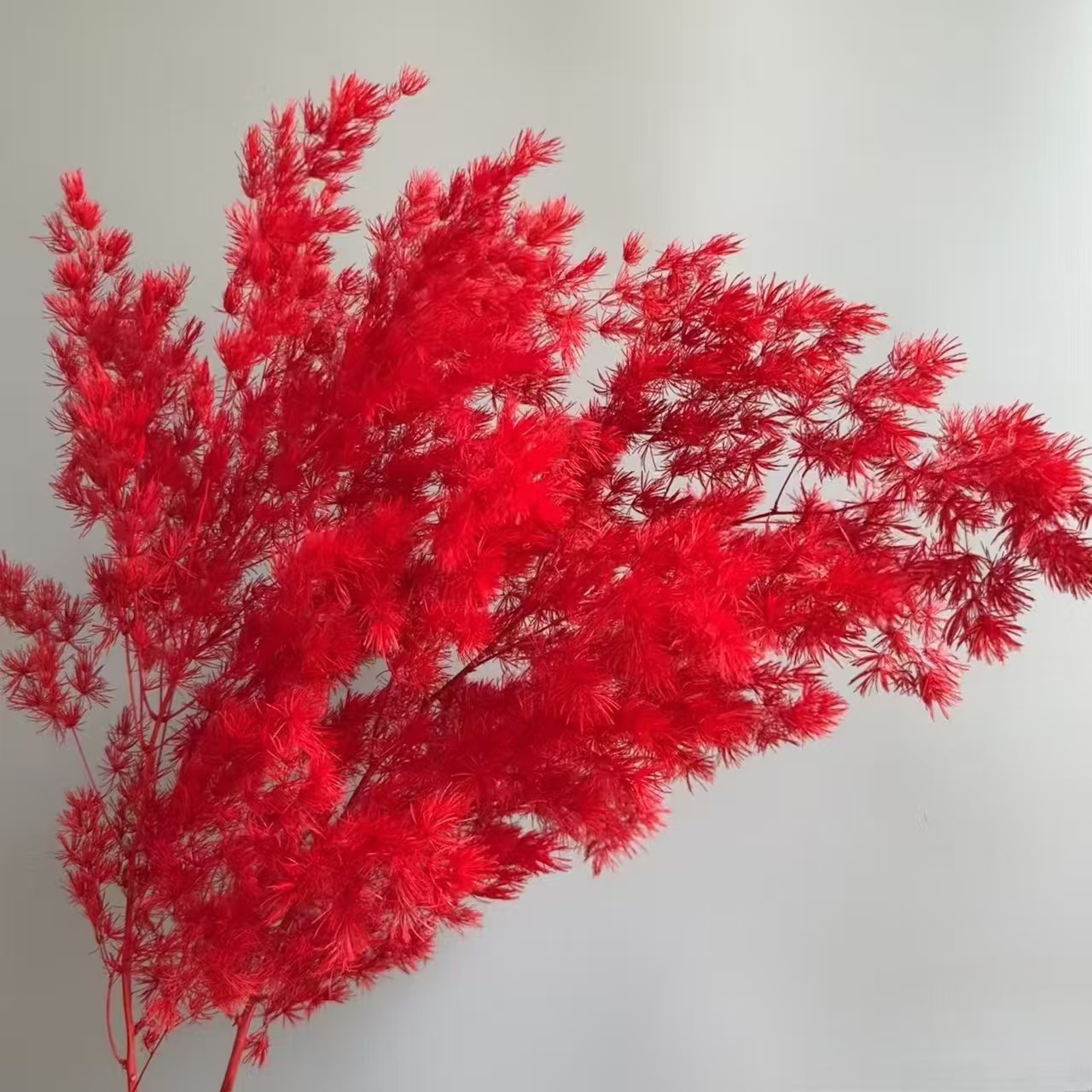 Flores de inmortalidad rojas decoración de boda flores secas de Año Nuevo para dar la bienvenida a los huéspedes frijoles de dragón grasa colgando arroz al por mayor