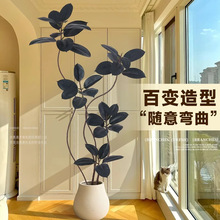 �ڽ�����Ƥ�����Gֲ�҃�ɳ�l�Լ�ֲ��������Դ��Ϳ͏d�b[��