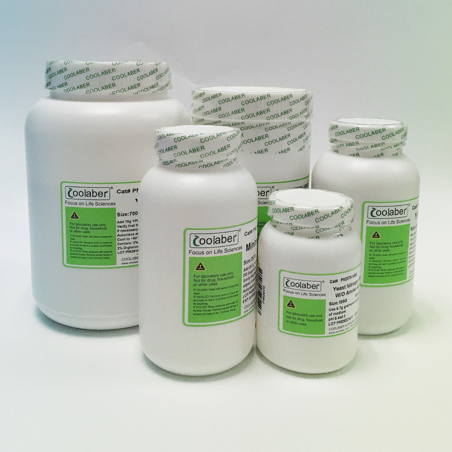 2×YT半固体培养基