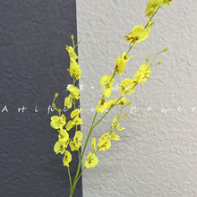 ?��c�Sɫϵ�л����ȵ겼�������Y�ٻ���䁙������^�쾰�G