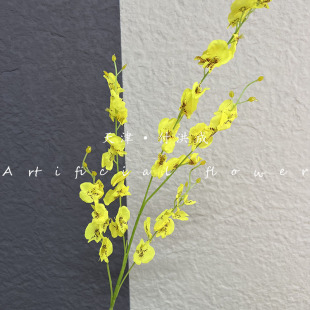 ?��c�Sɫϵ�л����ȵ겼�������Y�ٻ���䁙������^�쾰�G